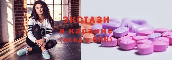 гашик Алексин