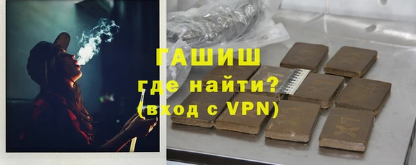гашик Алексин