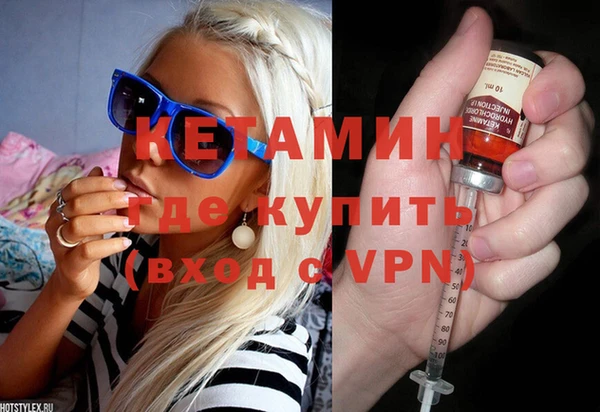 гашик Алексин