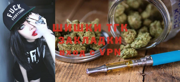 гашик Алексин