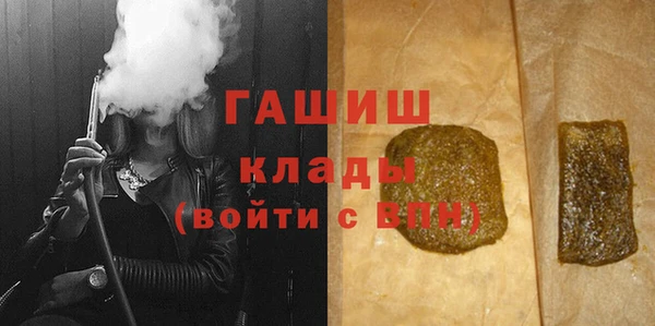гашик Алексин