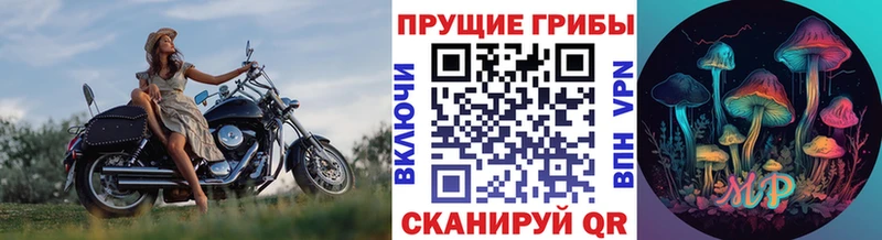 Псилоцибиновые грибы прущие грибы  наркошоп  Артём 